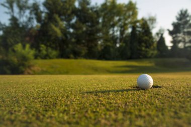 Yeşil çimlerin üzerinde golf topu. Arka planda güzel yeşil bir saha var.