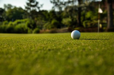 Golf sahasında bir golf topu