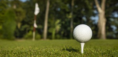 Yeşil çimlerin üzerinde golf topu