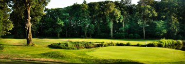 Ormandaki güzel golf sahası.