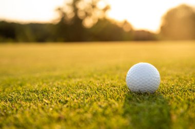 Golf sahasında yeşil çimlerde fotokopi alanı olan bir golf topu.
