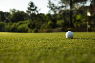 Çimlerin üzerinde top olan golf sopası