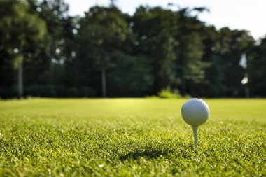 Yeşil çimlerin üzerinde golf topu.