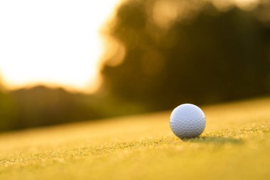Çimlerin üzerinde golf topu