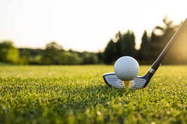 Yeşil kulüpte golf topu. golf sahası