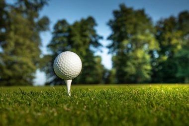 Golf topu ve golf sopası yeşil golf sahasında.