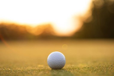 yeşil alan üzerinde golf topu