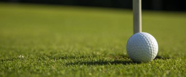 Yeşil çimlerin üzerinde golf topu