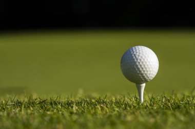 Golf sahasında top. Golf oyunu..