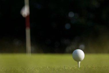 Çimlerin üzerinde golf topu