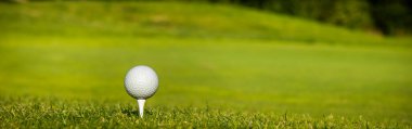 Golf sahası çimlerin üzerinde bir topla.