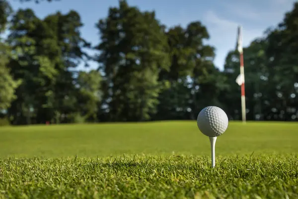 Golf Club Ball Course Grass — Stock Photo, Image