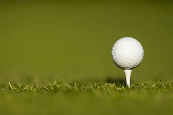 Golf Course Morning — Stock Photo, Image