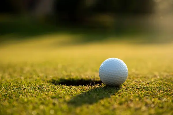 Golfbal Het Groene Gras Golfclub Stockfoto