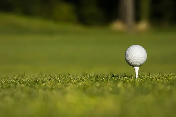 Golfpallo Golfmailassa kuvapankin valokuva