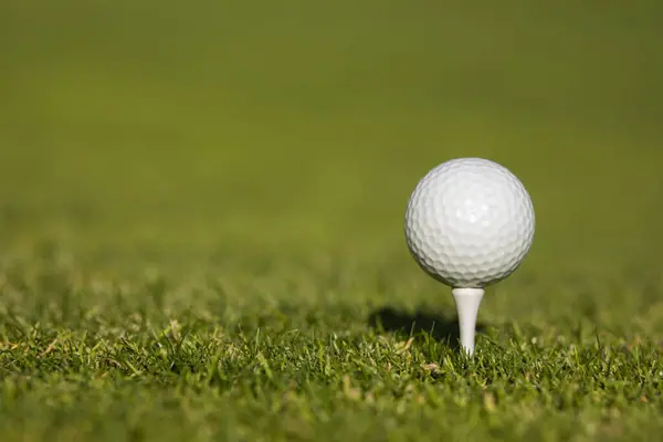 Golfbal Een Golfclub Stockfoto