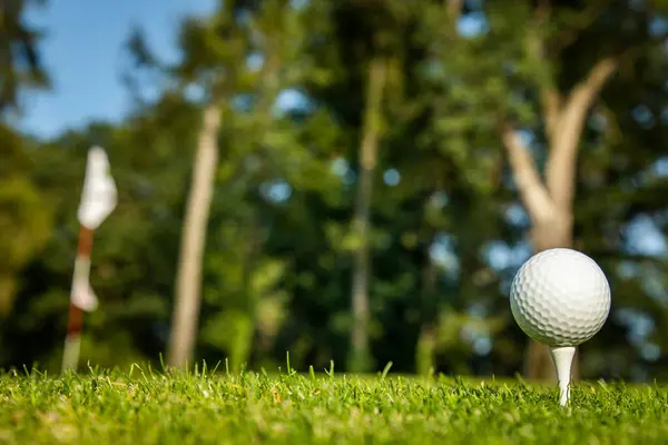 Golf Sahasında Yeşil Çimen Olan Golf Topunu Kapat Stok Fotoğraf