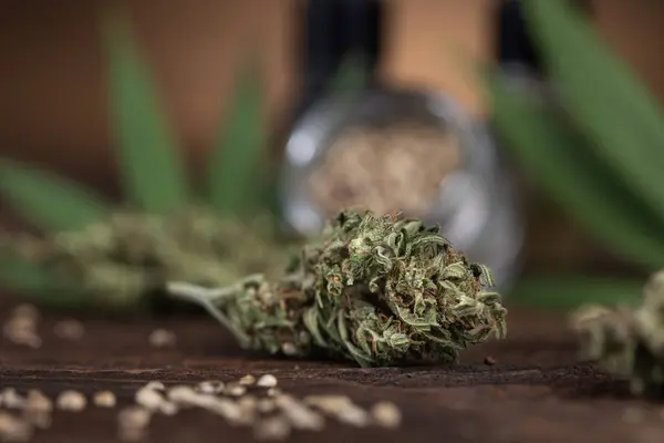 Hemp Buds Cannabis Leaf Fotografia Stock