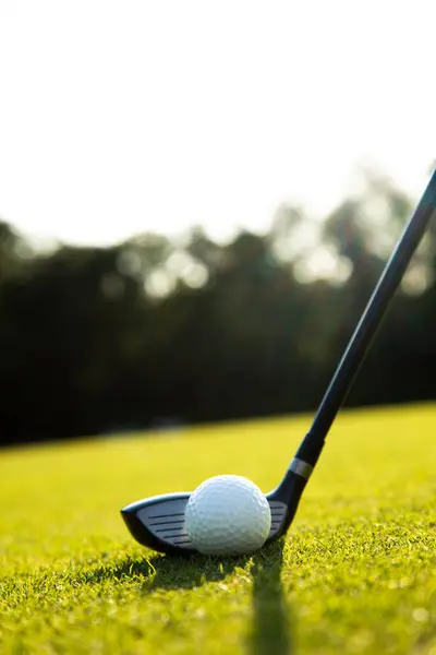 Pallina Golf Tee Erba Verde Foto Stock Royalty Free