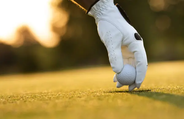 Golfer Golfen Golfbaan Avond Stockafbeelding