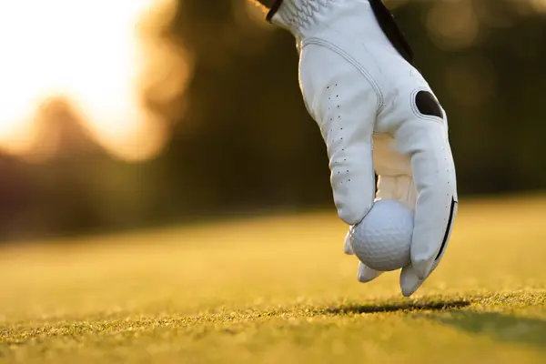 Närbild Manlig Hand Håller Golfboll Stockfoto