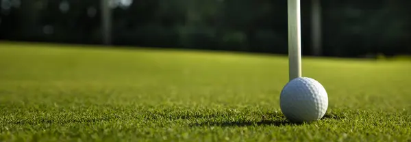 緑の草にゴルフ ボール ストックフォト