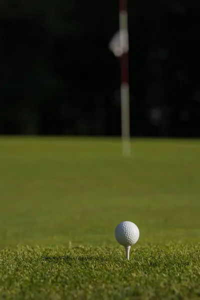 Golfball Auf Grünem Rasen lizenzfreie Stockbilder