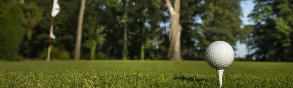 森のグリーンコースのゴルフボール ロイヤリティフリーのストック写真