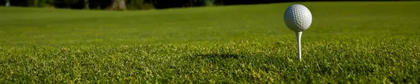 Golf Topu Golf Sahası Telifsiz Stok Imajlar