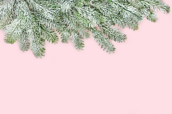 Winter Weihnachten Neujahr Festlichen Schnee Tanne Pastellrosa Hintergrund Rand Minimale — Stockfoto