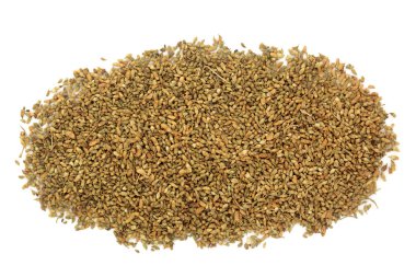 Çin bitkisel ilaçlarında kullanılan pagoda ağacı tomurcuğu bitkisi hemoroit, kan pıhtısı, ishal ve menopoz sorunlarını tedavi eder. Sophora japonica. Huai hua mi. Beyaz üzerine.