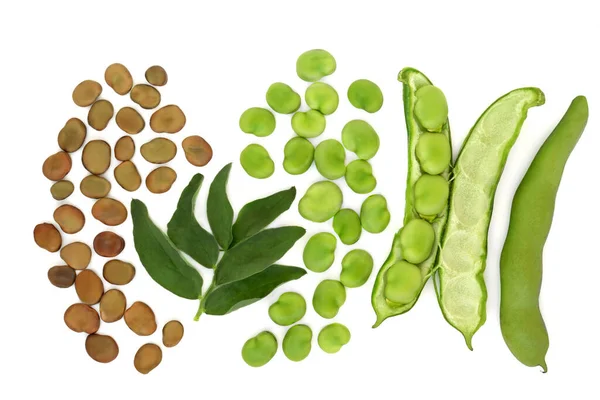 채소는 잎으로 단백질 비타민 농산물을 현명하게 선택하면 콜레스테롤 함유량 수있다 — 스톡 사진