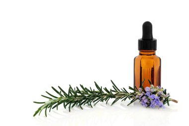 Rosemary herb herbal plant medicine and food seasoning with aromatherapy essential oil bottle. Boosts immune system, improves blood circulation, treats bronchial asthma. On white, copy space.