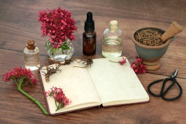 Valerian herb plant medicine with root, flowers, notebook, oil essence bottles. Natural herbal remedies to treat, anxiety, insomnia, headaches, menopause, digestive problems.