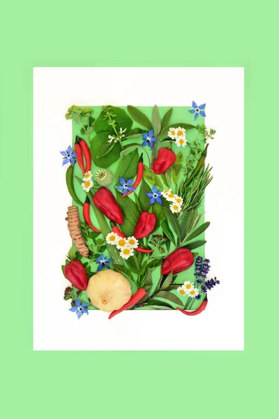 Plant based herbs for food decoration, edible wildflowers and spice seasoning background border. Healthy fresh nature design on green with white frame. Flat lay.