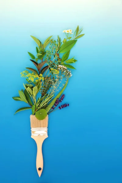 Painting Herbs Surreal Concept Natural Paintbrush Healthy Food Seasoning Green — Stock Photo, Image