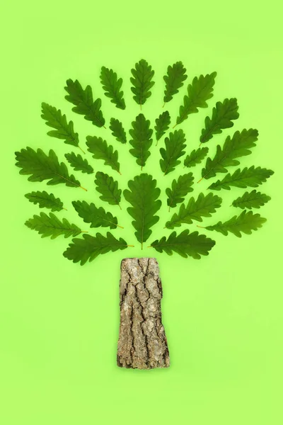 緑の葉とトランクと本物のオークの木抽象的なコンセプトシンボル ブランドやロゴのための抽象的なエコと環境に優しいデザイン 緑の背景に — ストック写真