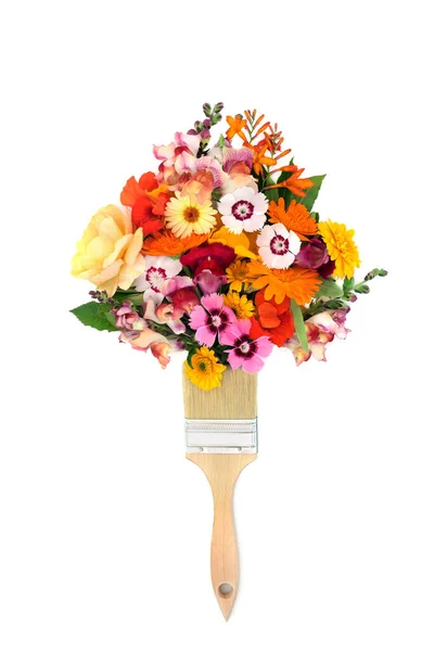 Bizarra Pensel Surrealistisk Blomma Stänk Med Färgglada Sommarblommor Flora Används — Stockfoto