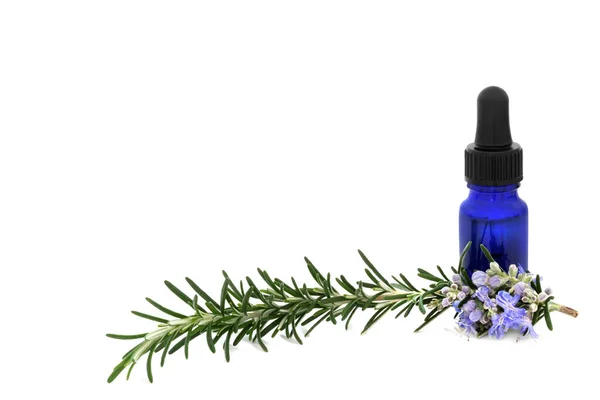 Rosemary Herb Herbal Plant Medicine Food Seasoning Aromatherapy Essential Oil — Stok fotoğraf