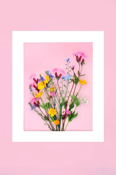 Wildflower Achtergrond Bloemen Ontwerp Minimale Abstracte Europese Lente Bloem Natuur — Stockfoto