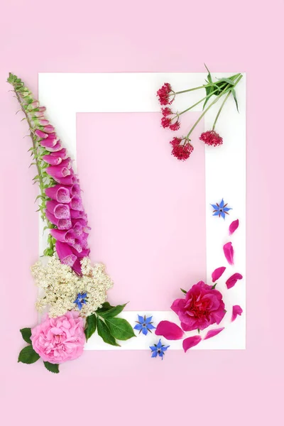 Wildflower herbal flower plant based medicine with valerian herb, rose, foxglove, elderflower and borage herbs used to treat a variety of illness. Abstract natural creative border frame on pink.