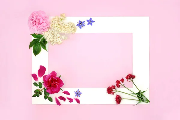 Herbal plant medicine flowers with valerian, rose, foxglove, elderflower and borage herbs. Natural flower remedy concept abstract minimal natural border frame on pink.