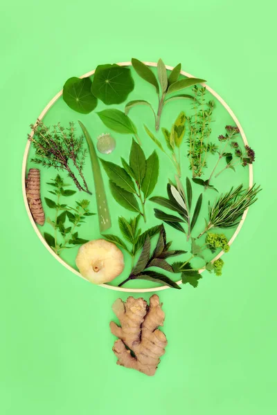 アブストラクトハーブの葉とスパイスの木のコンセプト形状 緑の背景に木製の丸いフレームと超健康食品エコ自然シンボル — ストック写真