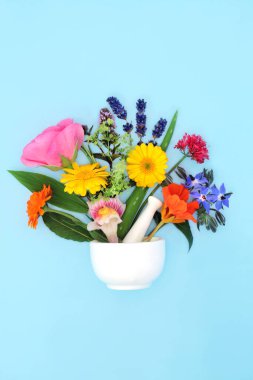 Çiçekler, kır çiçekleri ve otlar harç ve tokmakla soyut tasarım. Flora aromaterapide, gerekli yağ tedavilerinde, doğal bitkisel çiçeklerde ve bitki ilaçlarında kullanılır. Pastel mavisi.