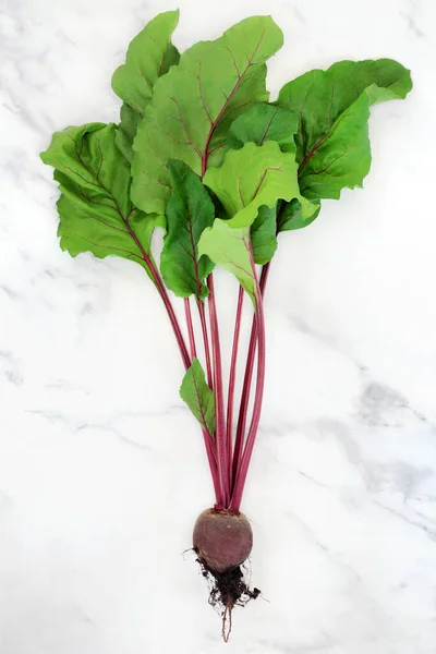 Beetroot Plant Earth Root Ball Leaves Healthy Super Food Local — Stock Photo, Image