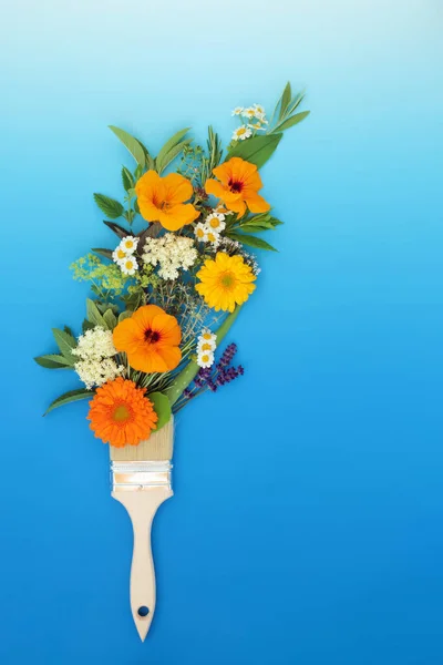 Pintura Surreal Com Ervas Verão Conceito Flores Com Pincel Resumo — Fotografia de Stock