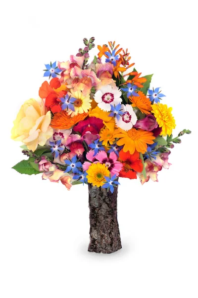 Surreal Summer Flower Wildflower Herb Tree Shape Bizarre Composition Flora — Stock Photo, Image