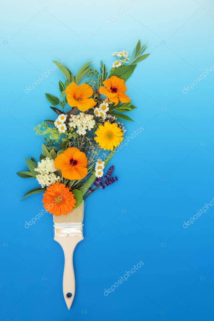 Surreal painting with summer herbs and flowers concept with paintbrush. Abstract Summer floral minimal eco symbol nature design on gradient blue white background. Flat lay.