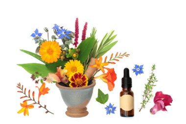 Doğal alternatif bitkisel çiçek ilaçlarında kullanılan şifalı çiçekler ve bitkiler. Havanda gerekli yağ şişesiyle birlikte. Beyaz arka planda alternatif sağlık hizmetleri kavramı. 