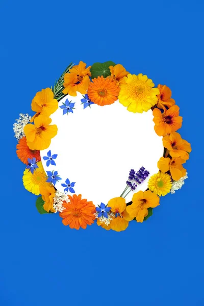 Summer wreath of healing flowers, herbs and wildflowers for alternative cold and flu remedies. Natural herbal plant based medicine on blue background, white copy space.